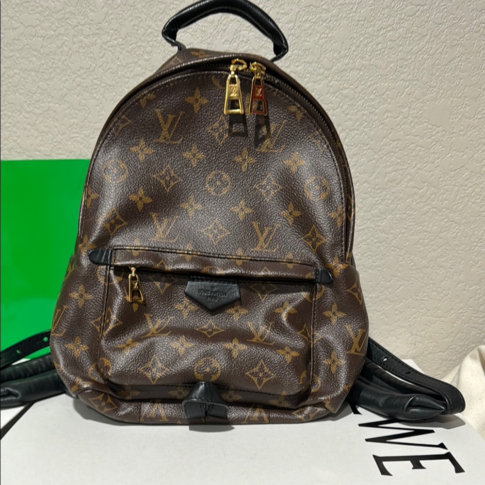 Louis Vuitton Palm Springs Monogram Brown Backpack - Damaged